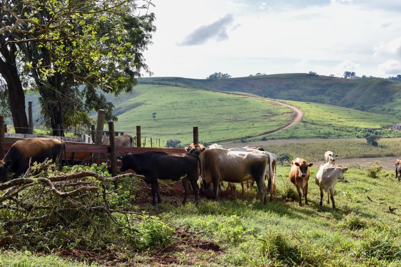 Bubble Pingo Do Mula Serra Da Canastra São Roque de Minas Kültér fotó