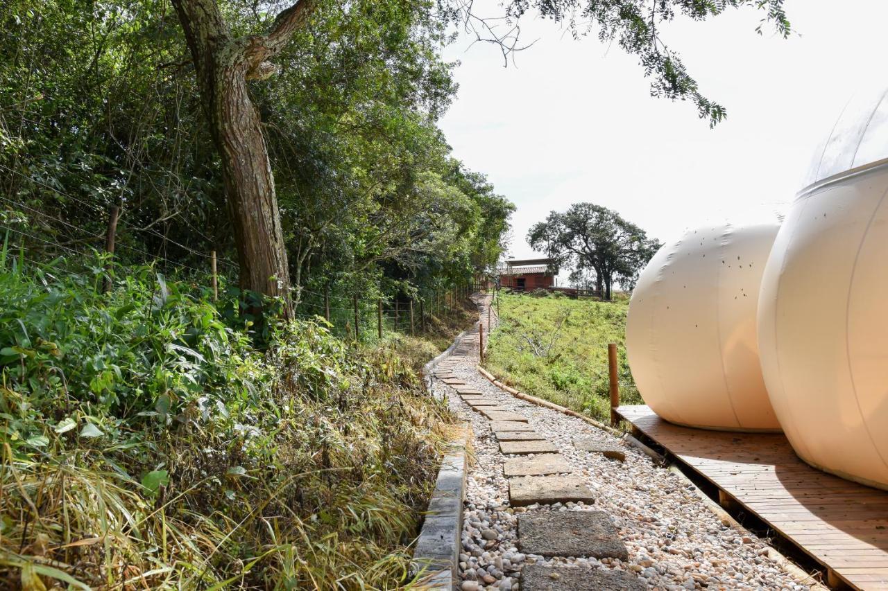 Bubble Pingo Do Mula Serra Da Canastra São Roque de Minas Kültér fotó