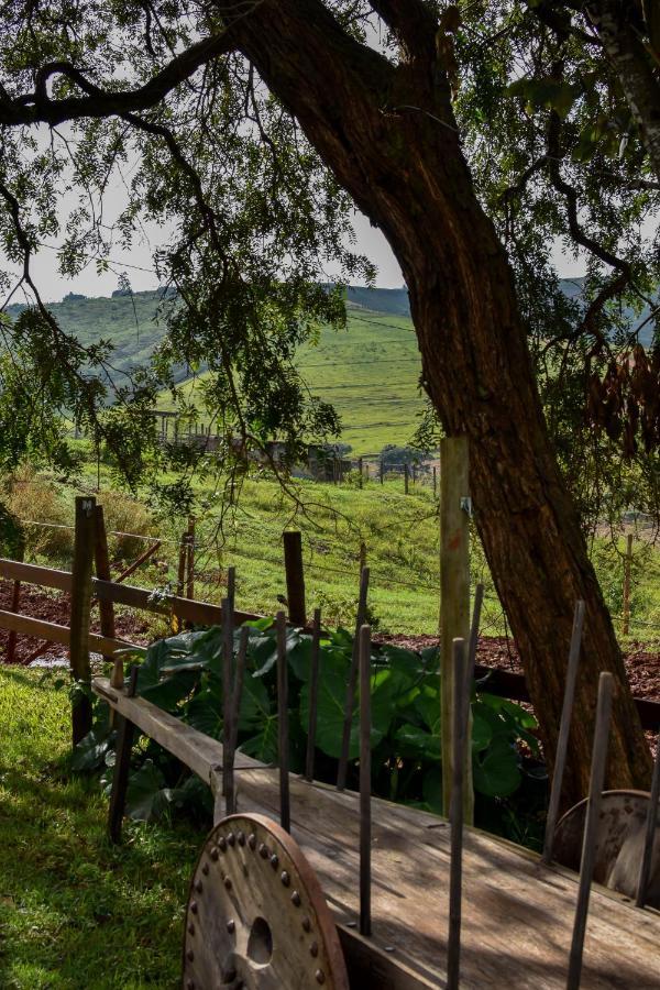 Bubble Pingo Do Mula Serra Da Canastra São Roque de Minas Kültér fotó